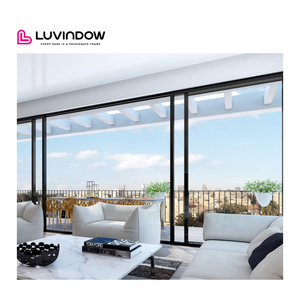 Metal Large Aluminum Double Glass Outdoor Impact Lightweight Slider Doors