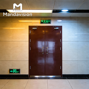 Customizable Modern Fire-resistant Safety Door
