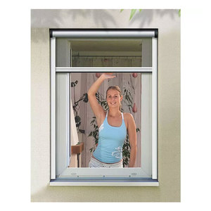 Custom Modern Roller Aluminum Frame Window