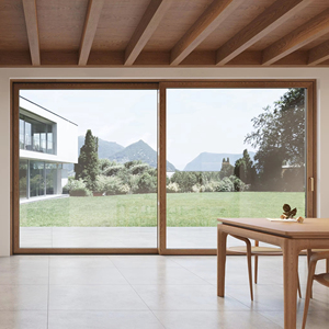 LEAWOD Modern Luxury Aluminum Wood Composite Sliding Door