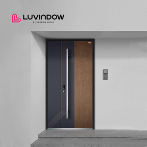 Home Doors External Classic Design Replacement Aluminum Exterior Entry Pivot Door